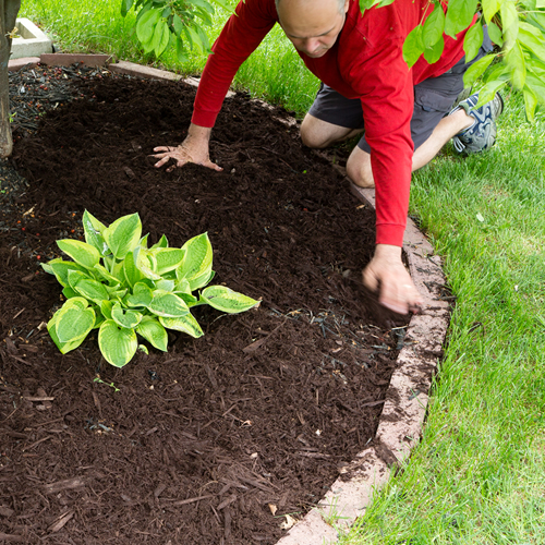 mulchwork